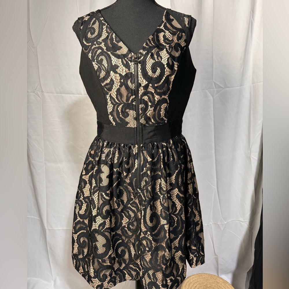 Venus lace mini party dress